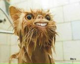 Фотография Лебедева Ирина