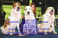 Фотография Байковской Юлии