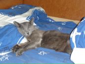 Фотография Носенко Анны