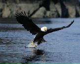 Едік Пивоваp фотография #1