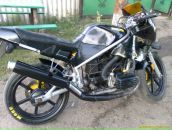 Саня Пірожок фотография #18 (источник - https://vk.com/id136852196)