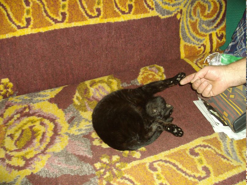 Дмитрий Муравьев фотография #37