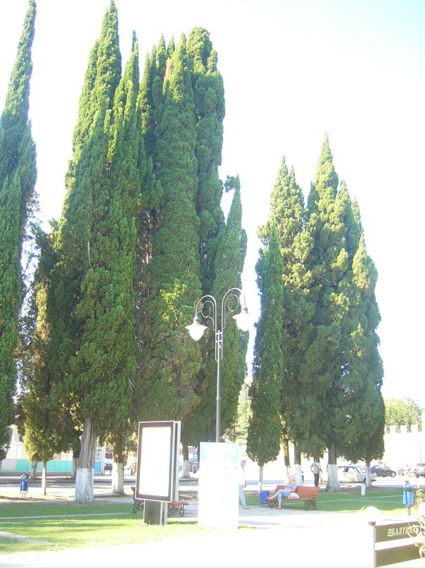 Станислав Кыдымаев фотография #17