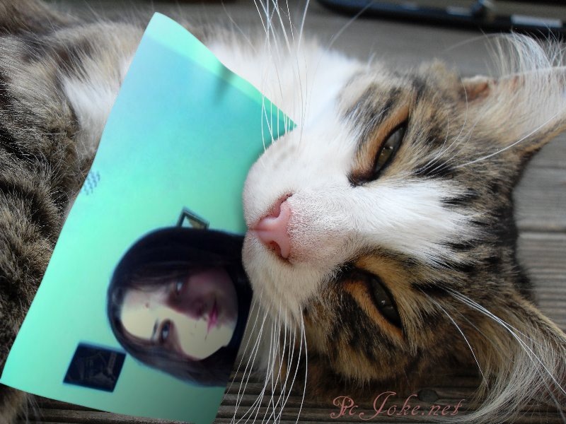 Галина Цубера фотография #35