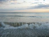 Фотография Дениса Натальи