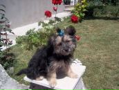 Януся Галабіцька фотография #20 (источник - https://vk.com/id140210936)