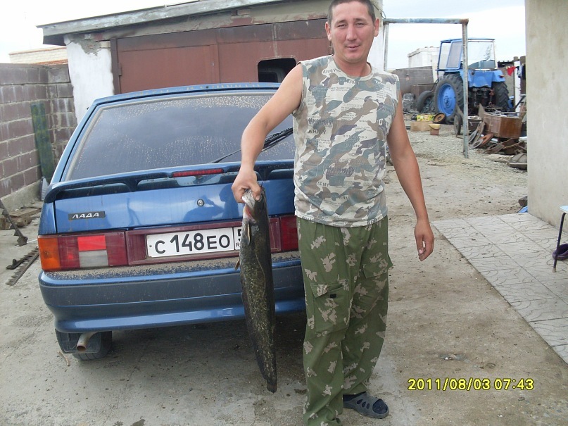 А Е П фотография #12