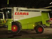 Фотография Дейнеко Романа