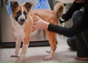 Фотография Сеземов Антон