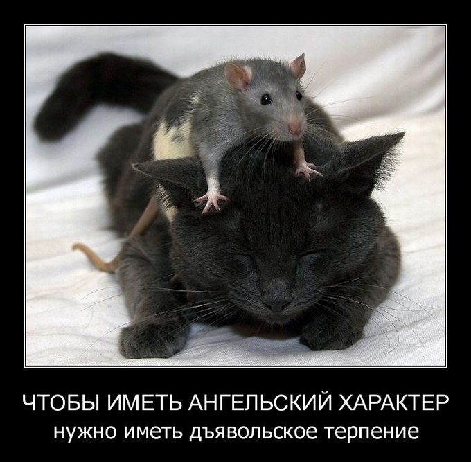 Mars Explosion фотография #15