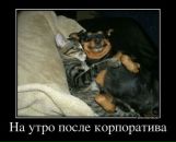 Фотография Михайличенко Яны