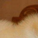 Тіма Устименко фотография #27 (источник - https://vk.com/id146172919)