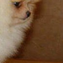 Тіма Устименко фотография #23 (источник - https://vk.com/id146172919)