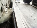 Фотография Ершова Ивана