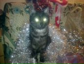 Фотография Жулиной Виктории