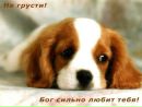 Сергій Воловень фотография #49 (источник - https://vk.com/id132373906)