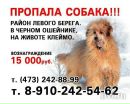 Фотография Леликовой Любови