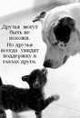 Валя Прісняк фотография #7 (источник - https://vk.com/id131921933)
