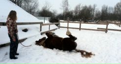 Фотография Сарычевой Дарии