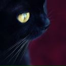 Вітя Сенюк фотография #36 (источник - https://vk.com/id132282546)