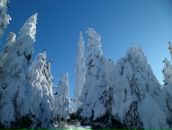 Олександр Лісовий фотография #39 (источник - https://vk.com/id22697210)