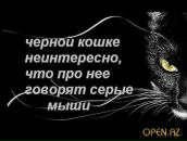 Фотография Вячеславовна Лебедевой Оксаны