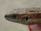 Фотография Ершовой Юлки