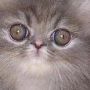 Христина Якімець-Максимяк фотография #32 (источник - https://vk.com/id21782638)