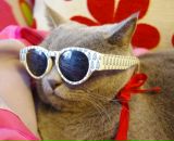 Фотография Ищенко Илоны