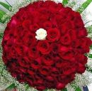 Русланка Хіміч фотография #42 (источник - https://vk.com/id190757289)