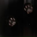 Фотография Бусоргиной Маргариты