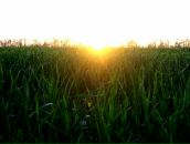 Ірина Дроздович фотография #45 (источник - https://vk.com/id33593622)