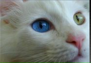 Фотография Кей Ксении