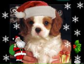 Фотография Шергиной Наталии