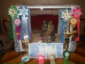 Фотография Корниловой Евгении