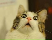 Фотография Mudretsova Lena