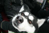 Фотография Волкова Максима