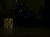 Фотография Semenova Iren