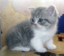 Βиктория Χохлова фотография #1