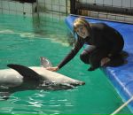 Фотография Дормидонтовой Анны