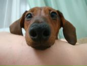 Фотография Шустровой Екатерины