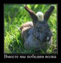 Іра Сiдорчук фотография #19 (источник - https://vk.com/id27743744)