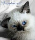 Інна Ковальчук фотография #39 (источник - https://vk.com/id8785983)