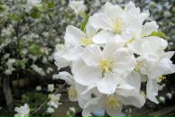 Фотография Михеевой Оксаны