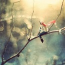 Фотография Вербицкой Антонины