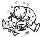 Фотография Indie Indie