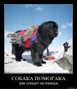 Віталік Вольт фотография #49 (источник - https://vk.com/id2228781)