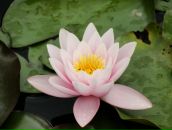 Фотография Ардашов Андрей