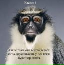 Тімур Сокунов фотография #24 (источник - https://vk.com/id45307241)