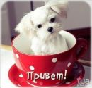 Наталія Вавринюк фотография #42 (источник - https://vk.com/id155525302)